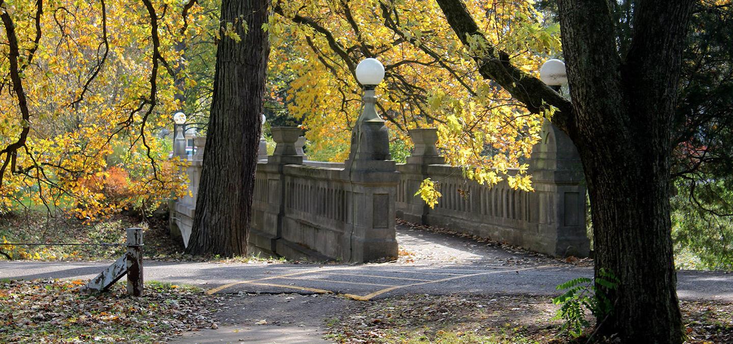 The Grotto Bridge in fall